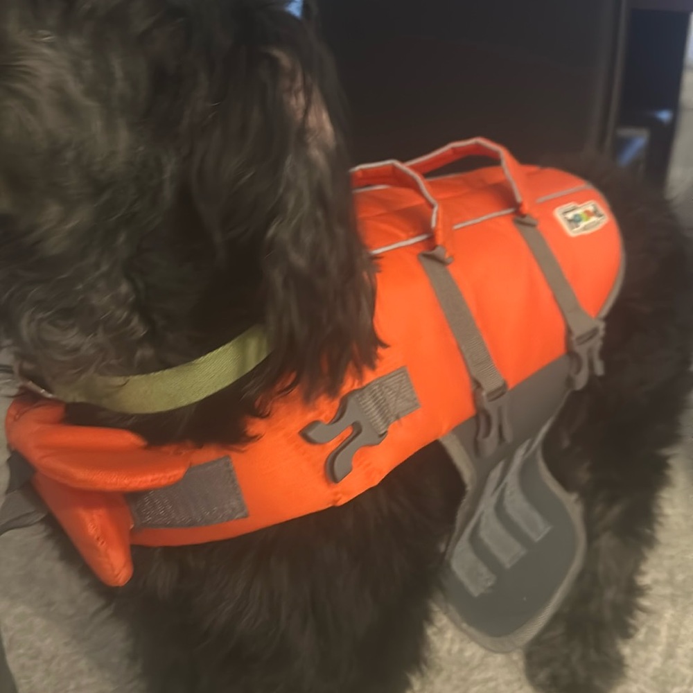 Small 15-30 pound Outward Hound Dog Life Jacket